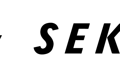 Garmin Vaira Halterung Seka